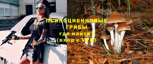 спайс Аркадак