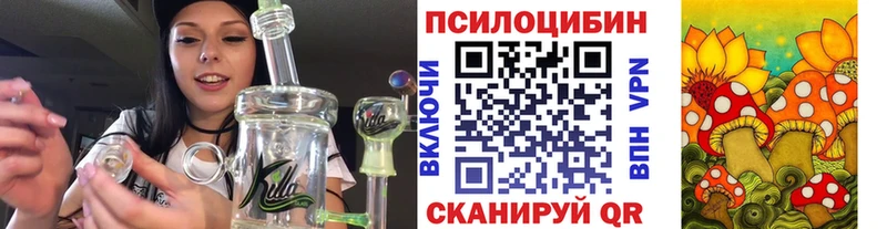 Псилоцибиновые грибы Psilocybe  Сосновоборск 